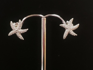 Earrings ER19-0478